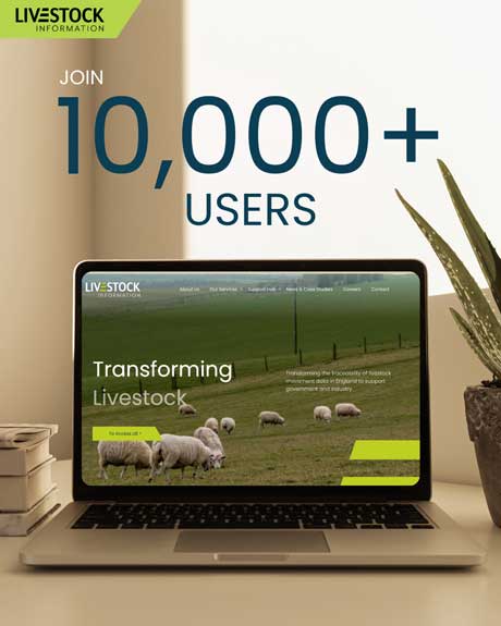 join the 1000