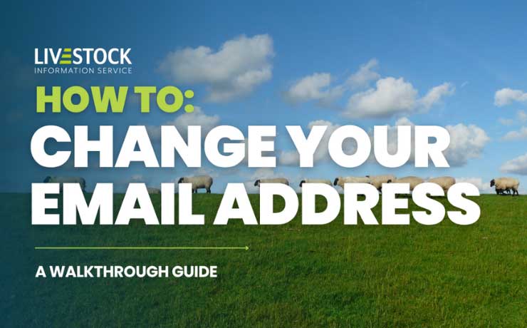 How to Change Your Email Address